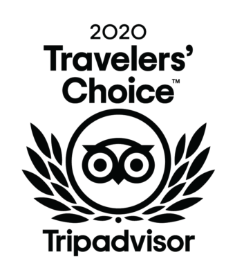 Tripadvisor Traveler's Choice logo 2020 L WHITE BG CMYK